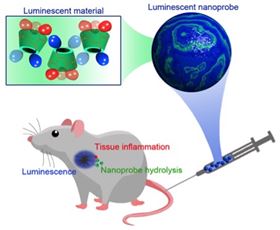 NanoparticlesShineNewLightOnInflammatoryDisease